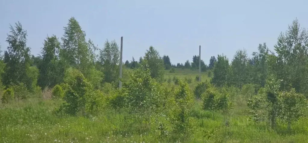 Участок в Иркутская область, Иркутский муниципальный округ, д. ... - Фото 0