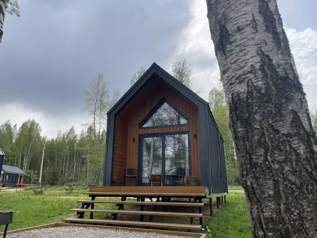 Дом в Ярославская область, Некрасовское с/пос, д. Елохова  (28 м) - Фото 1