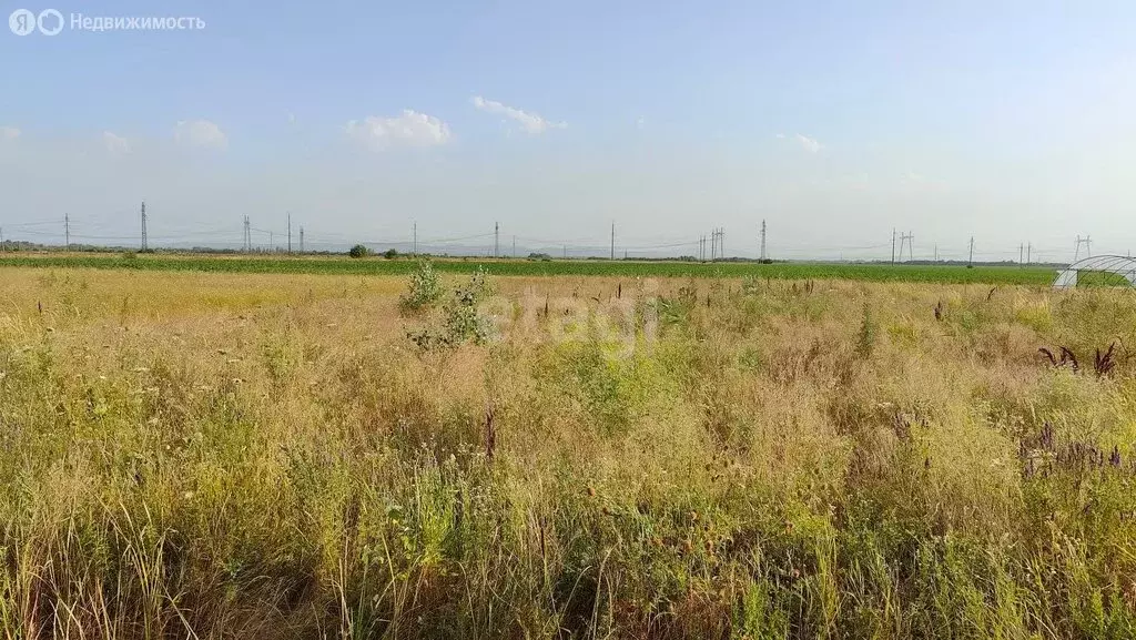 Участок в Новокубанский район, посёлок Прикубанский (62.8 м) - Фото 0