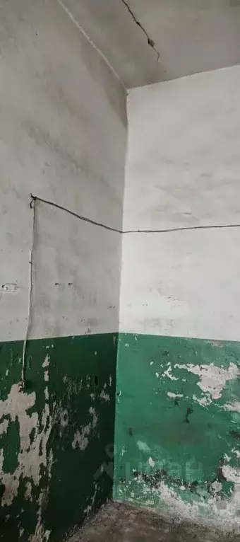 Помещение свободного назначения в Новосибирская область, Новосибирск ... - Фото 1
