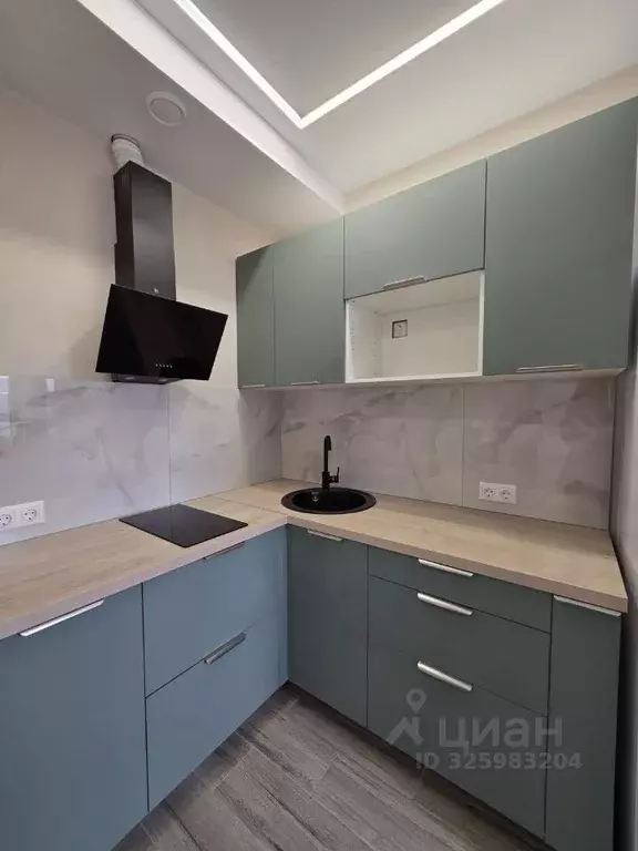 1-к кв. Московская область, Звенигород Одинцовский городской округ, ... - Фото 2