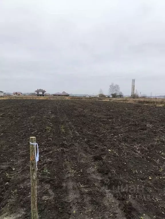 Участок в Брянская область, Брянский район, Добрунское с/пос, д. ... - Фото 2