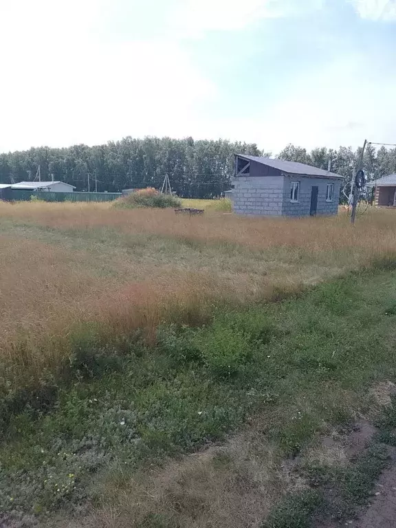 Участок в Омская область, Омский район, с. Усть-Заостровка ул. 16-я ... - Фото 0