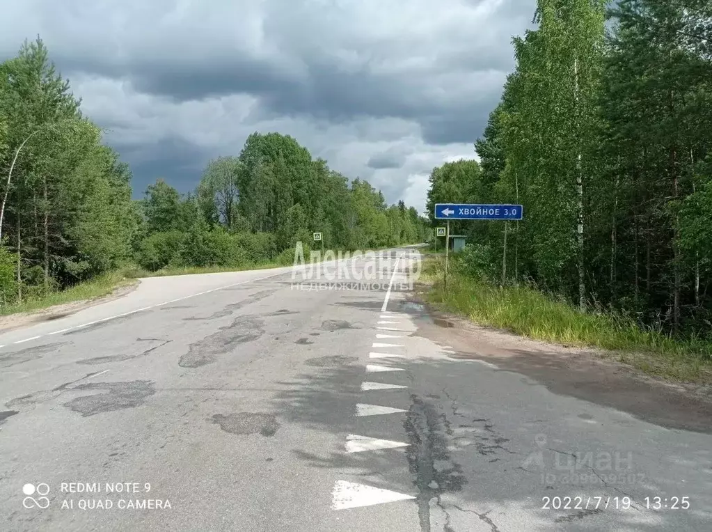 Участок в Ленинградская область, Приозерский район, Мельниковское ... - Фото 0