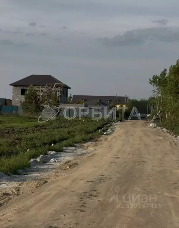 Участок в Тюменская область, Тюменский район, с. Луговое ул. ... - Фото 1