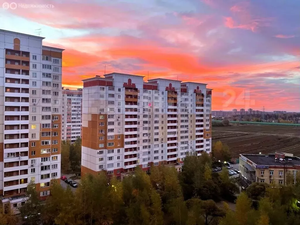 1-комнатная квартира: посёлок городского типа ВНИИССОК, улица Дружбы, ... - Фото 1