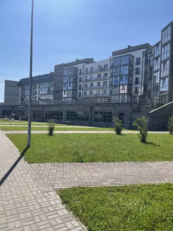 1-к кв. Псковская область, Псков Ольгинская наб., 5А (45.0 м) - Фото 1