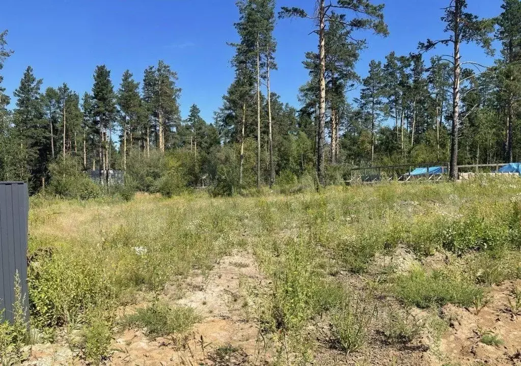 Участок в Иркутская область, Иркутский муниципальный округ, пос. ... - Фото 2