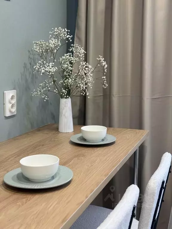 Студия Новгородская область, Великий Новгород Московская ул., 6 (13.0 ... - Фото 2