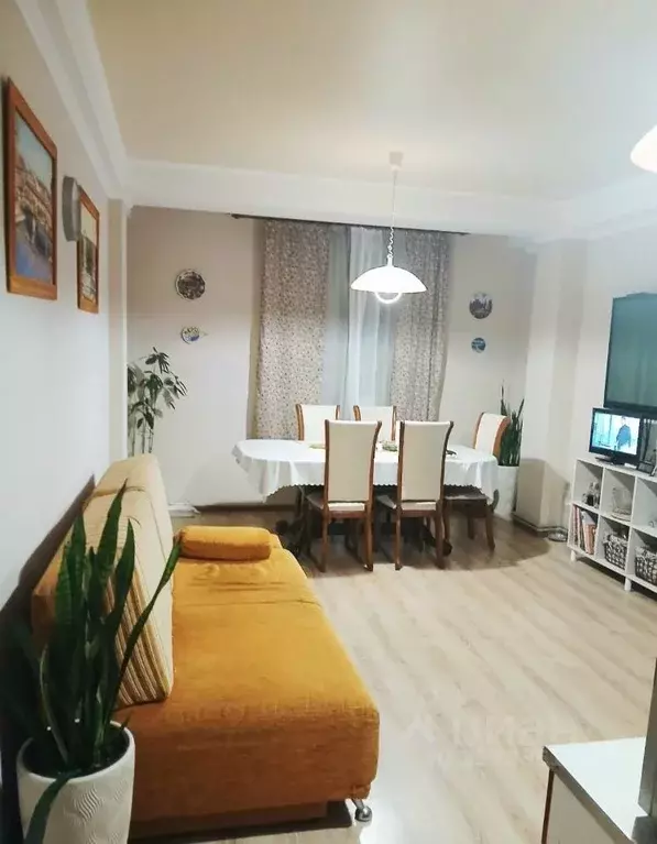 4-к кв. Краснодарский край, Сочи Светлана мкр, ул. Лысая Гора, 27/4 ... - Фото 1