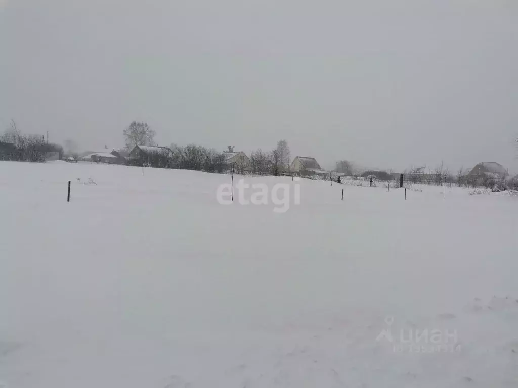 Участок в Алтайский край, Барнаул городской округ, пос. Бельмесево ул. ... - Фото 0