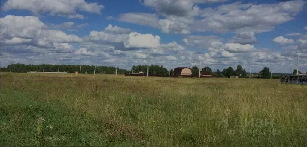 Участок в Челябинская область, Красноармейский муниципальный округ, ... - Фото 1