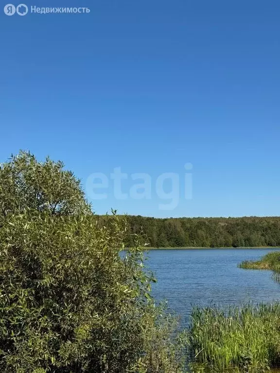 Участок в Белёвский район, сельское поселение Правобережное, деревня ... - Фото 1