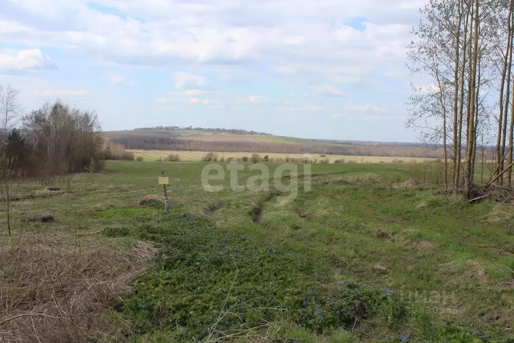 Участок в Вологодская область, Череповецкий район, Малечкинское с/пос, ... - Фото 1