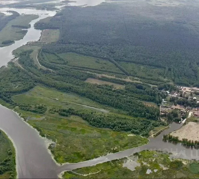 Участок в Тверская область, Конаковский муниципальный округ, Волжские ... - Фото 1