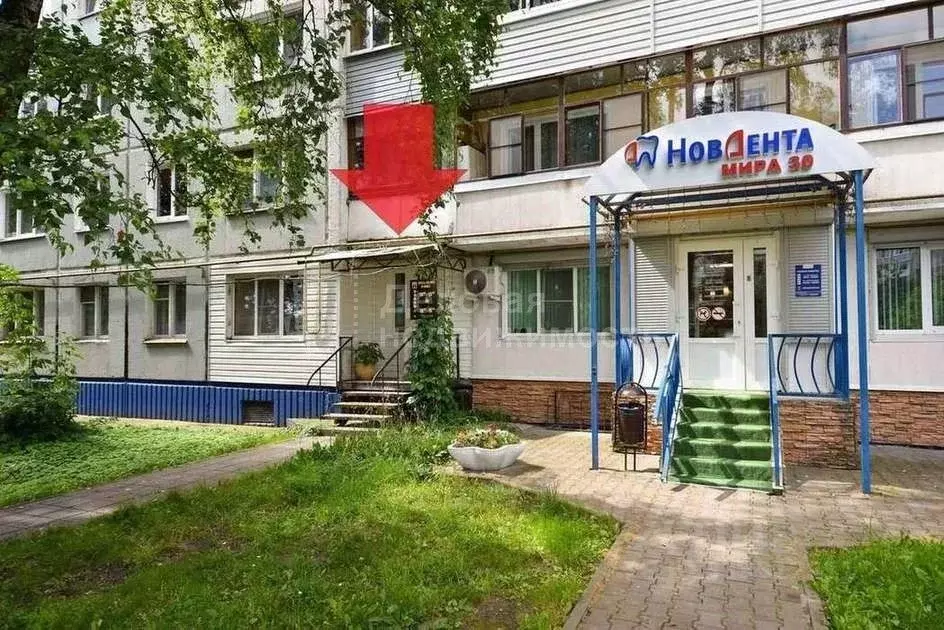 Помещение свободного назначения в Новгородская область, Великий ... - Фото 1