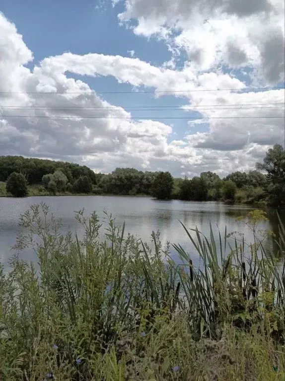 Участок в Мордовия, Лямбирский район, с. Лопатино  (10.0 сот.) - Фото 0