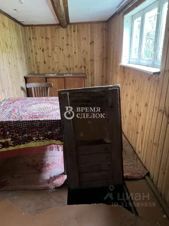 Участок в Владимирская область, Владимир сад Дружба-2 (6.16 сот.) - Фото 1