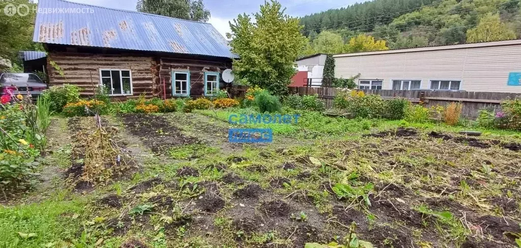 Дом в Белокуриха, Алтайская улица (26.2 м) - Фото 0