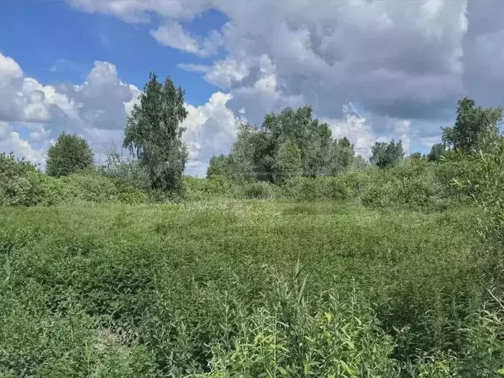 Участок 11 сот. (СНТ, ДНП) - Фото 0