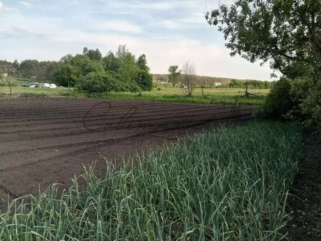 Дом в Белгородская область, Старооскольский городской округ, с. ... - Фото 2