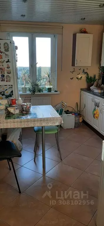Комната Санкт-Петербург пос. Парголово, ул. Первого Мая, 107к3 - Фото 1