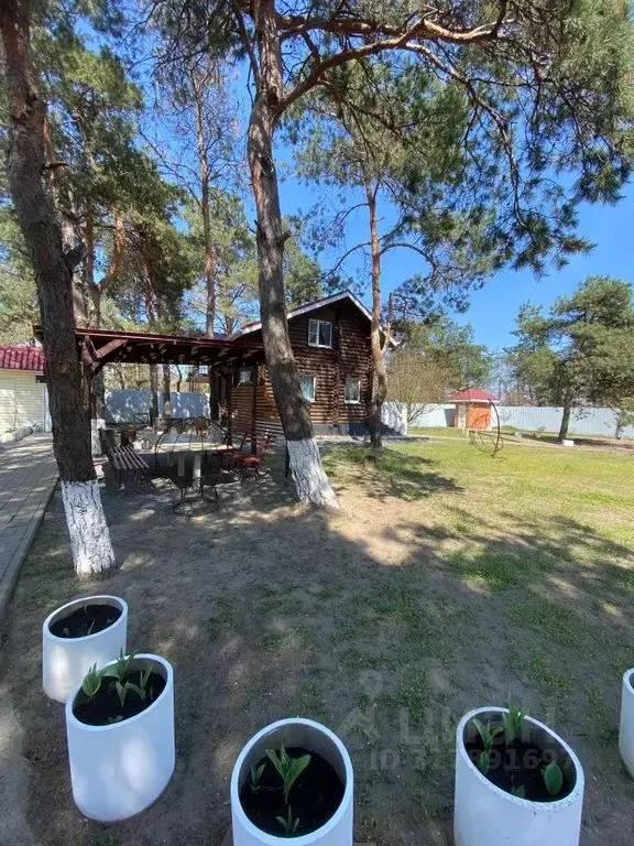 Дом в Ростовская область, Багаевская ст-ца ул. Береговая, 96 (70 м) - Фото 0