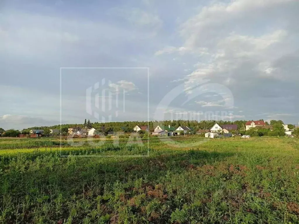 Участок в Воронежская область, Рамонский район, Новоживотинновское ... - Фото 0