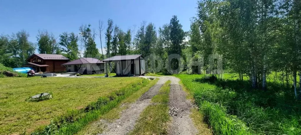 Участок в Новосибирская область, Искитимский район, Морозовский ... - Фото 0