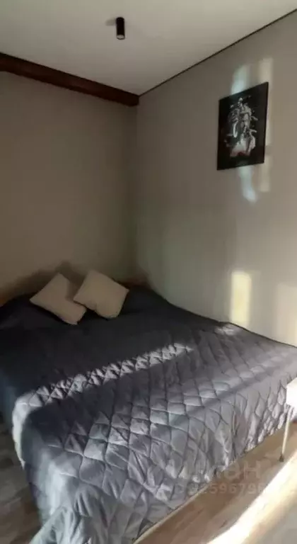 2-к кв. Краснодарский край, Сочи Центральный мкр, ул. Навагинская, 12 ... - Фото 1