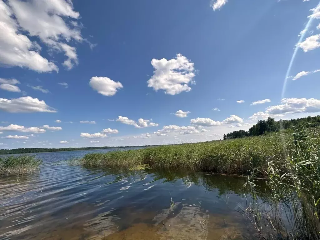 Участок в Тверская область, Осташков  (59.66 сот.) - Фото 0