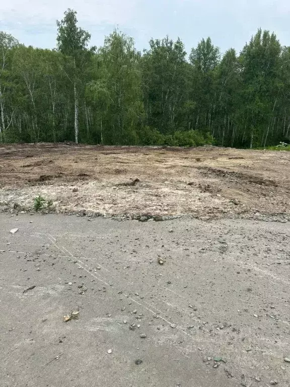 Участок в Новосибирская область, Новосибирский район, Каменский ... - Фото 1