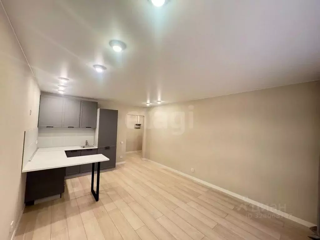 Студия Челябинская область, Челябинск ул. Профессора Благих, 65 (29.0 ... - Фото 2