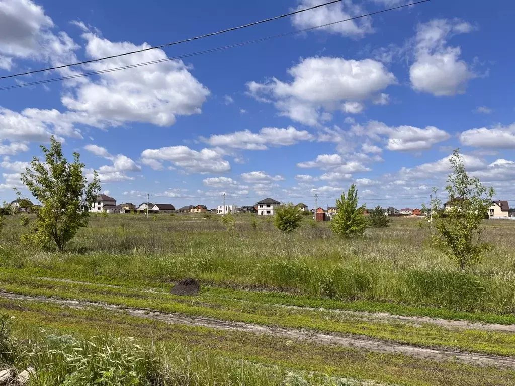 Участок в Курская область, Курский район, Новопоселеновский сельсовет, ... - Фото 2