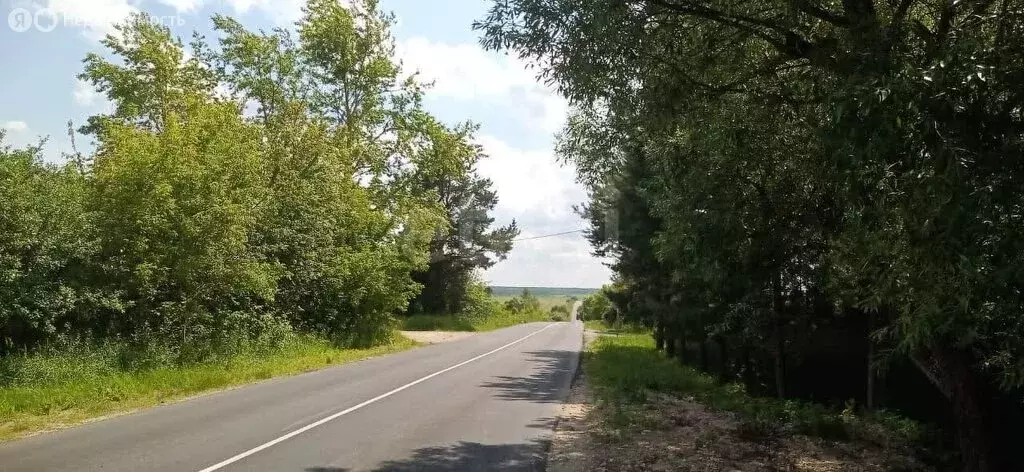 Участок в Владимирская область, Судогодский муниципальный округ, ... - Фото 1