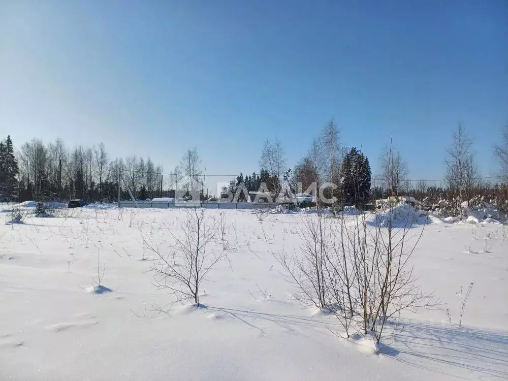 Участок в Московская область, Солнечногорск городской округ, д. ... - Фото 2