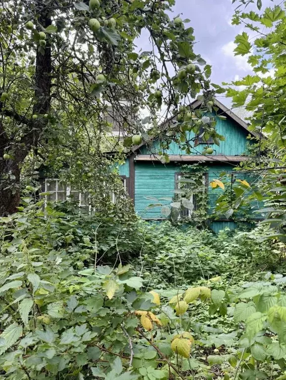 Участок в Москва д. Говорово, Мир СНТ,  (6.72 сот.) - Фото 2