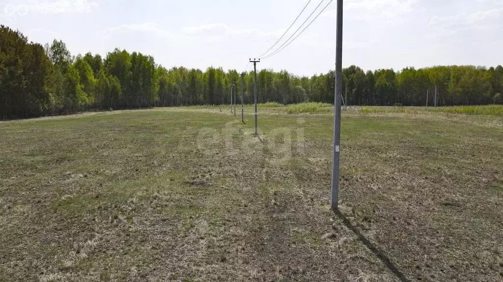 Участок в Тюменский муниципальный округ, село Горьковка (4.2 м) - Фото 2