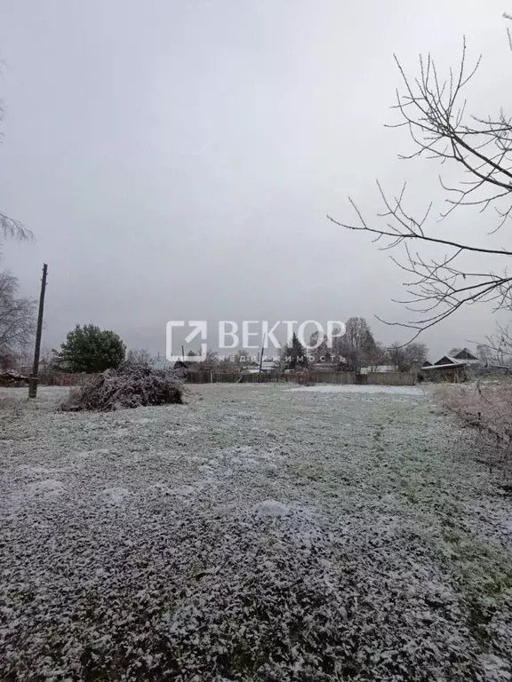 Участок в Костромская область, Костромской район, Кузьмищенское с/пос, ... - Фото 1