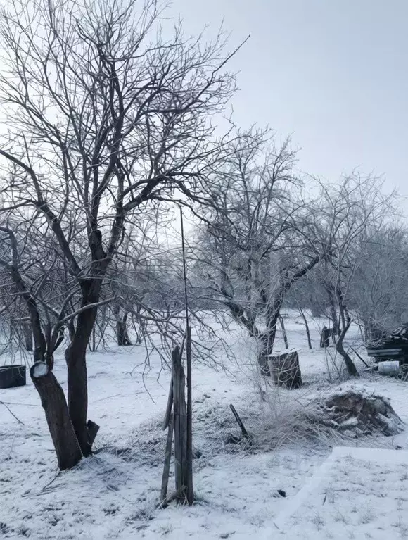 Участок в Тульская область, Тула Щекинское ш., 44 (10.0 сот.) - Фото 1