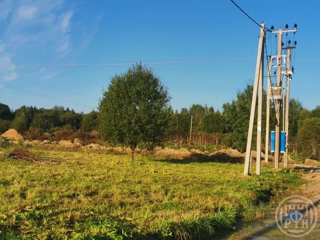 Участок в Ленинградская область, Лужский район, Заклинское с/пос, д. ... - Фото 2