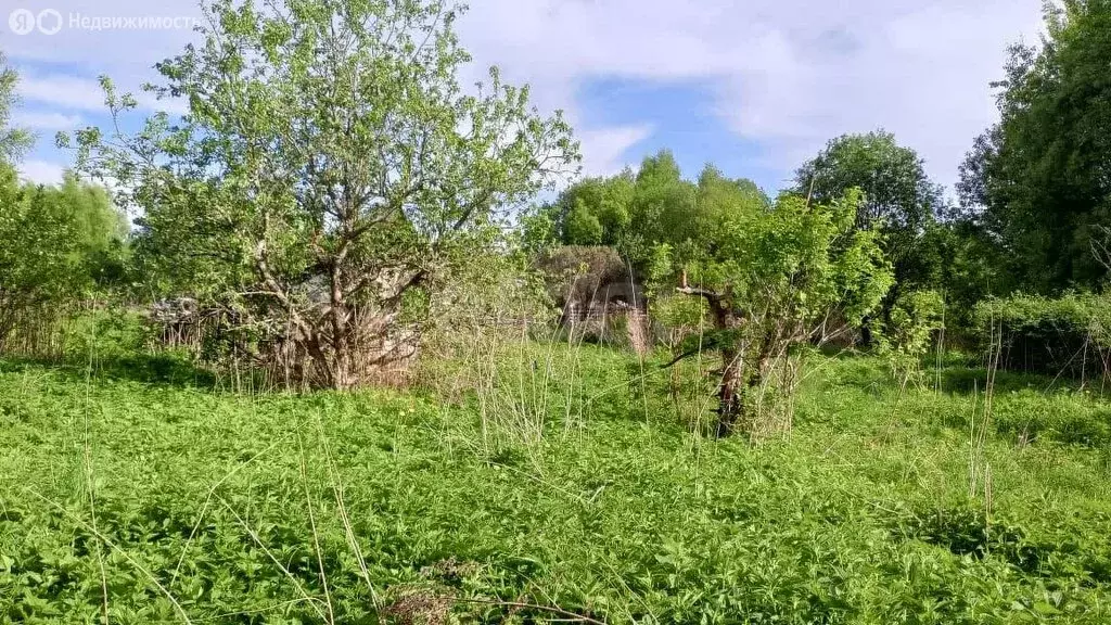 Дом в деревня Некрасово, Приозёрная улица (80 м) - Фото 1