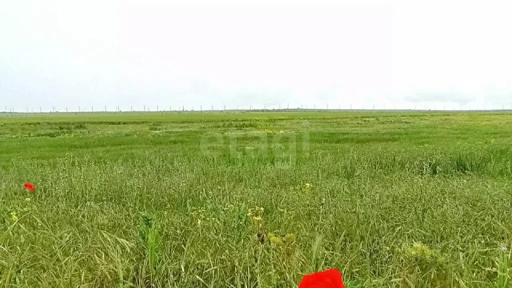 Участок в Крым, Феодосия муниципальный округ, Приморский пгт ул. ... - Фото 1