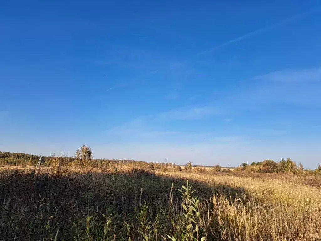 Участок в Московская область, Кашира городской округ, д. Никулино  ... - Фото 0