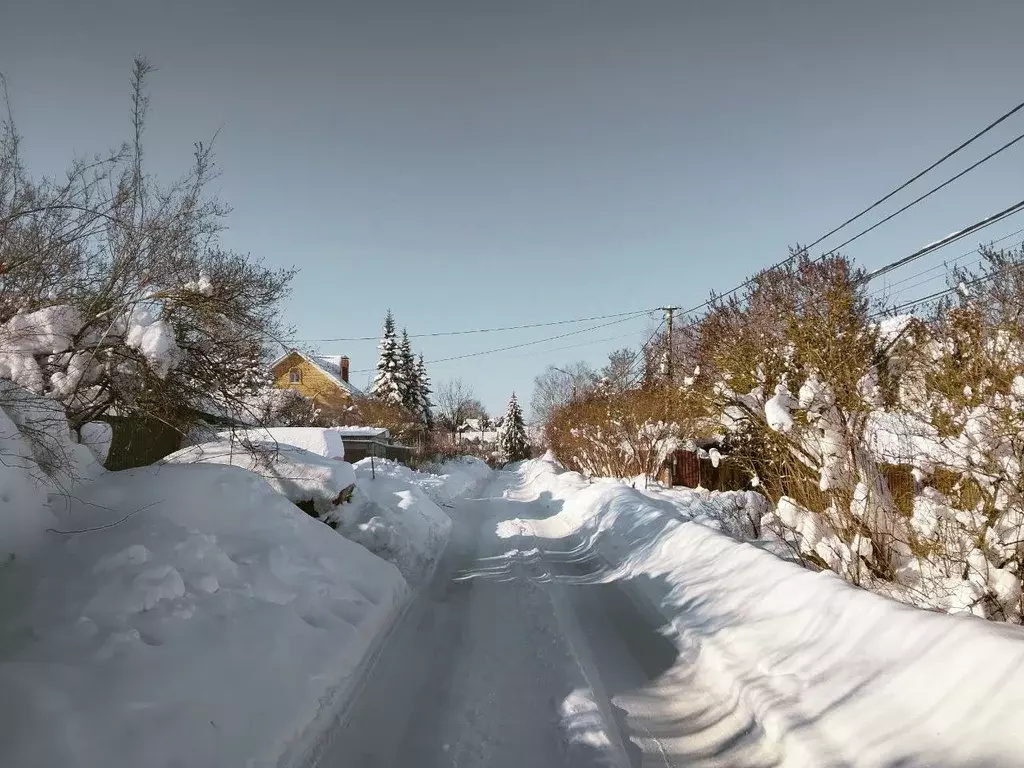 Участок в Московская область, Щелково городской округ, Флора-2 СНТ  ... - Фото 2
