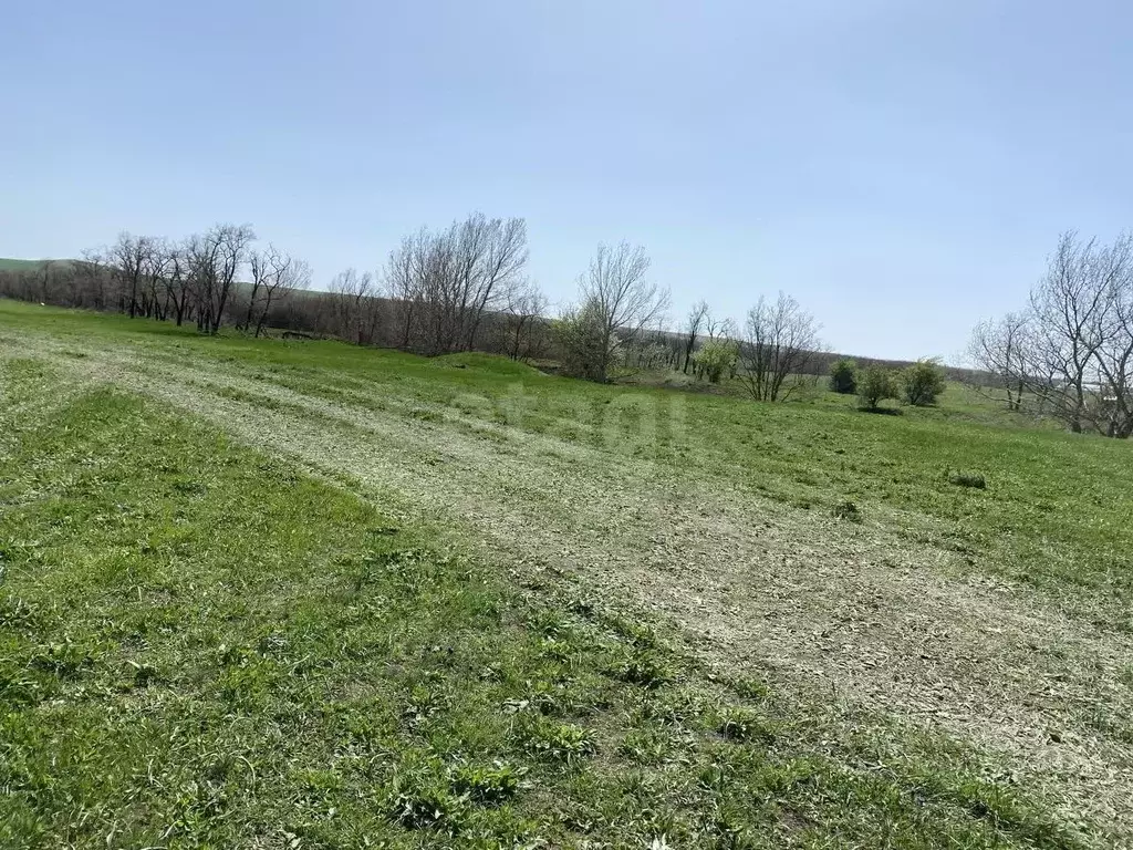 Участок в Ставропольский край, Шпаковский муниципальный округ, Садовый ... - Фото 2