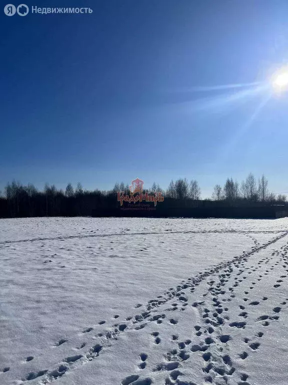 Участок в Сергиево-Посадский городской округ, деревня Сырнево (13 м) - Фото 0