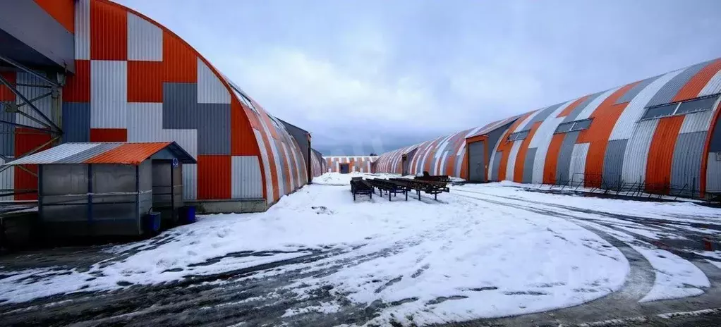 Склад в Московская область, Пушкинский городской округ, д. Алешино с11 ... - Фото 2