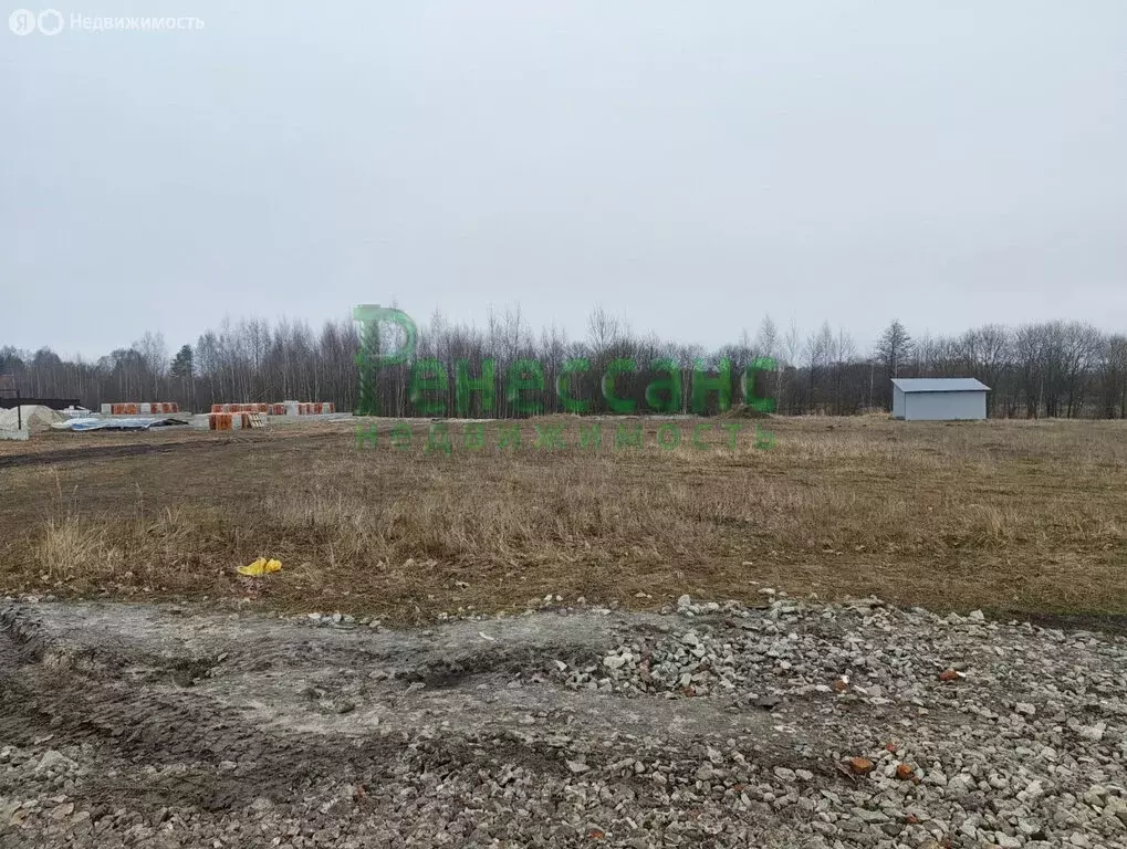 Участок в Палужье, Дорожный переулок (24 м) - Фото 1