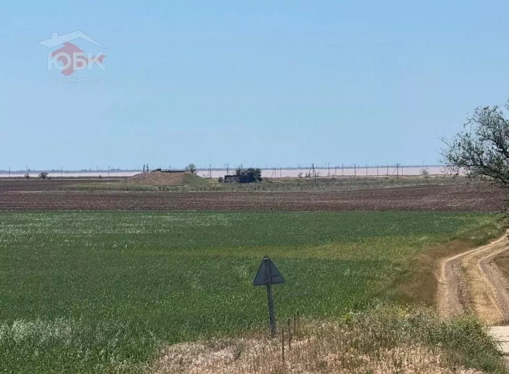 Участок в Крым, Саки ул. Заводская, 84Б (4.6 сот.) - Фото 2